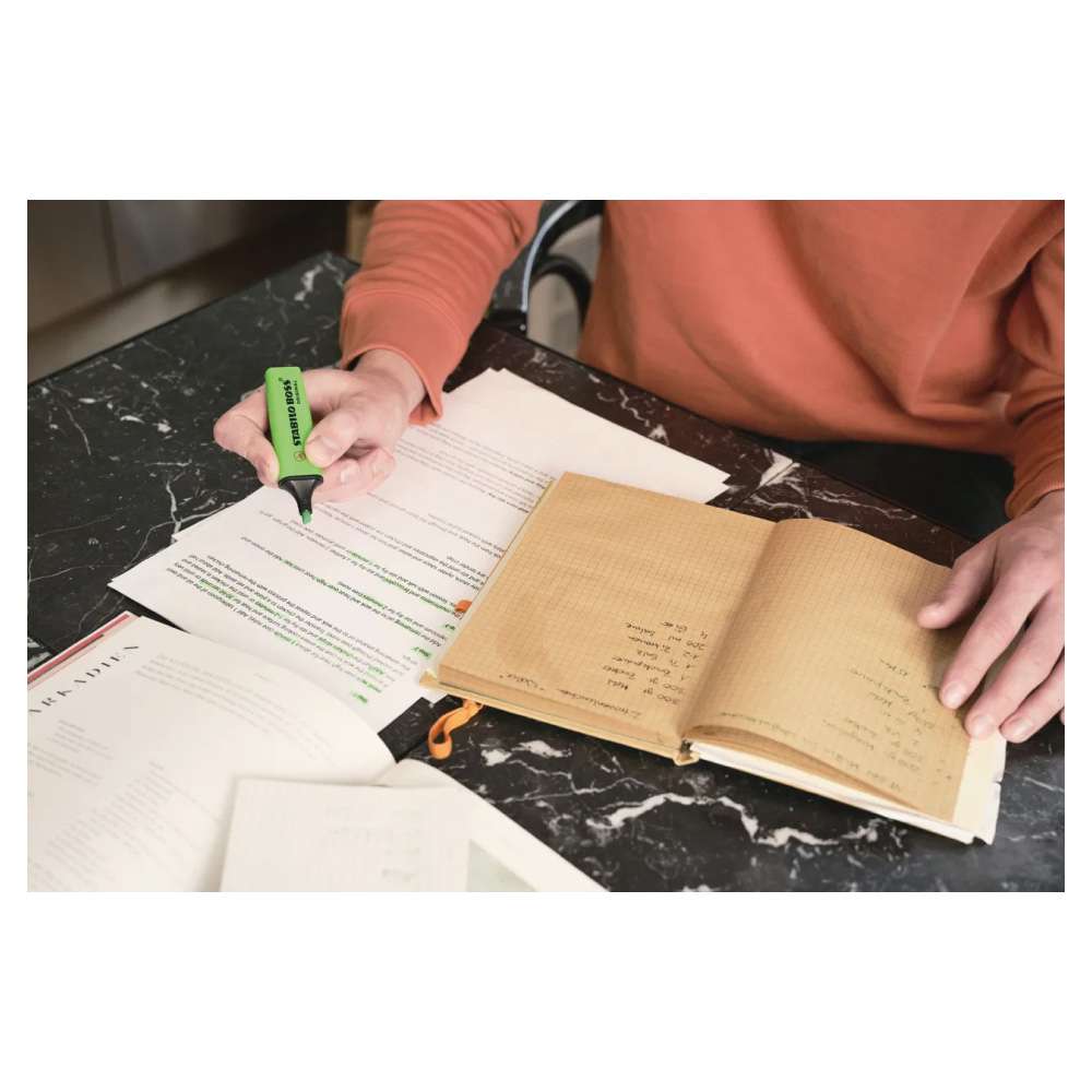 STABILO BOSS original Buch lernen und markieren