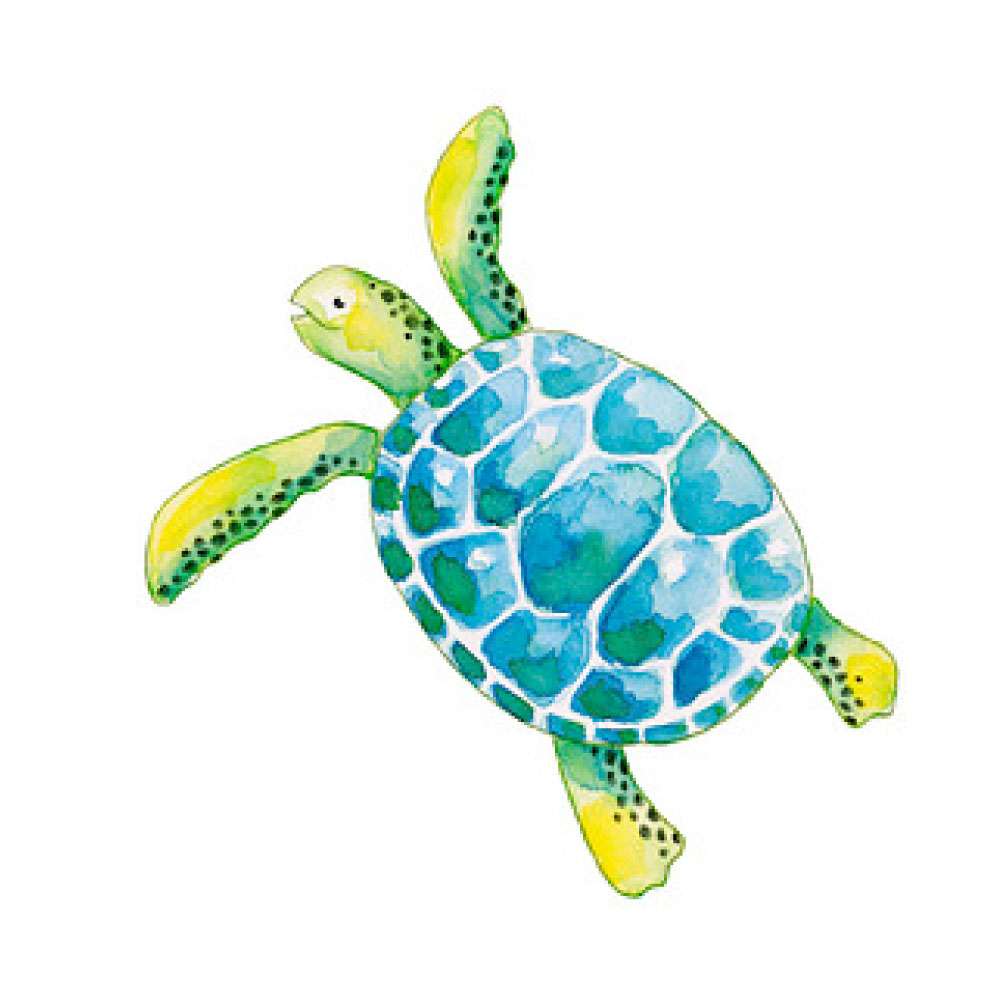 FABER-CASTELL Aquarellstifte Buntstifte Bild mit Schildkröte