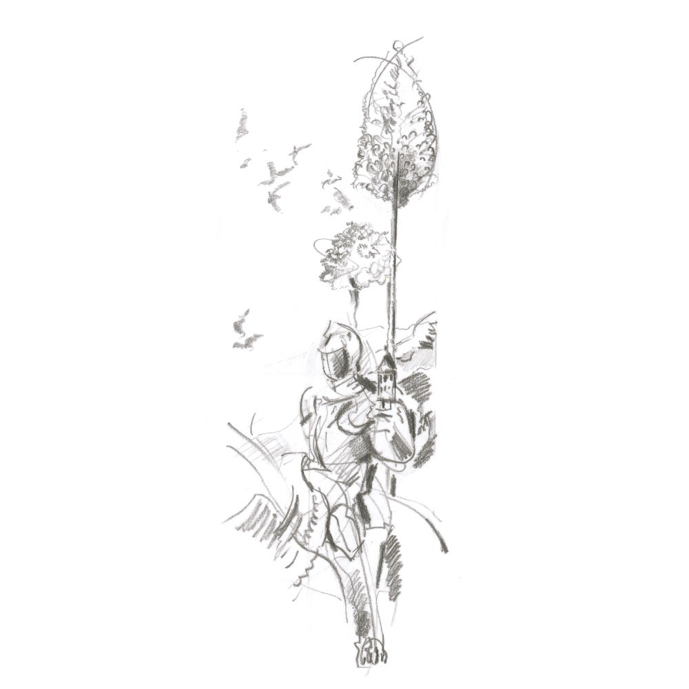 FABER-CASTELL 9000 Jumbo Bleistift Zeichnung Pflanze